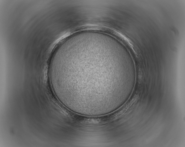 X0000112921411200909141303