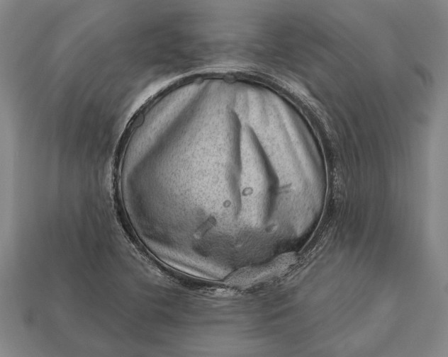 X0000112921412200909141303