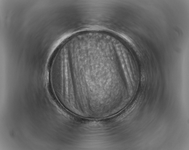 X0000112921414200909141303