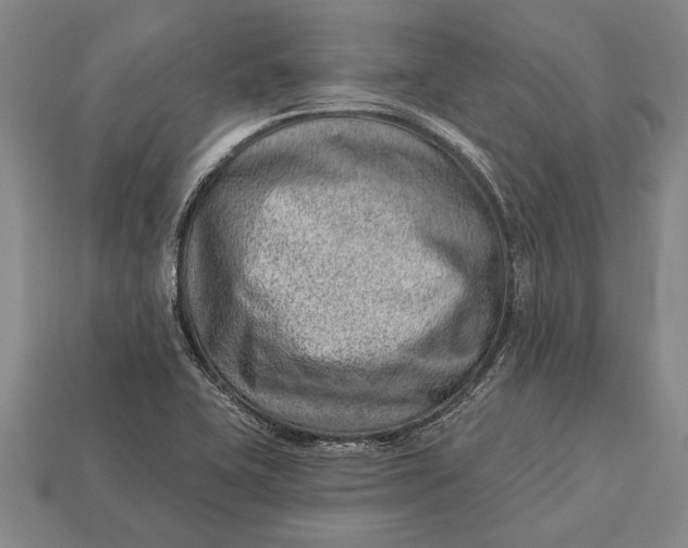 X0000112921415200909141303