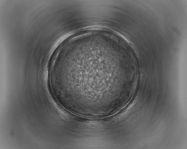 X0000112921418200909141303
