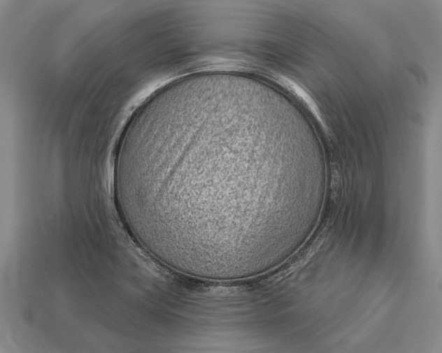 X0000112921419200909141303