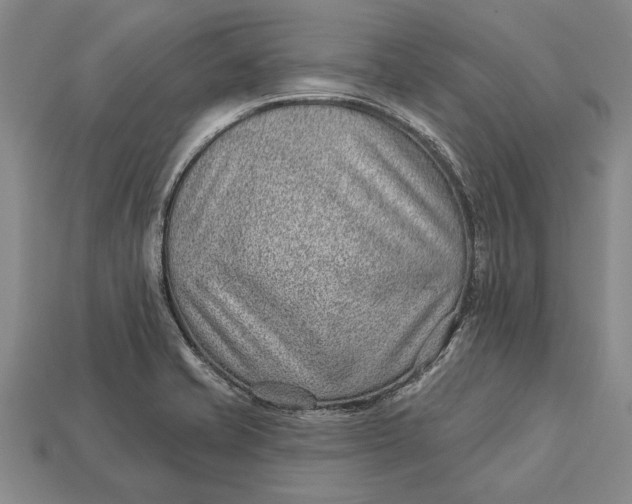X0000112921421200909141303