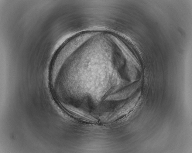 X0000112921422200909141303