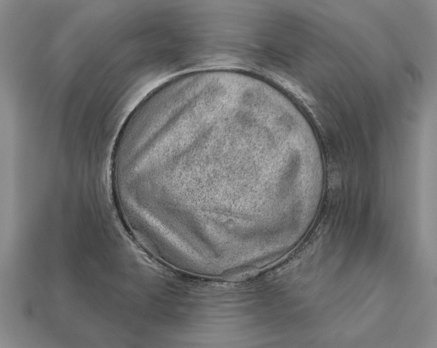 X0000112921423200909141303
