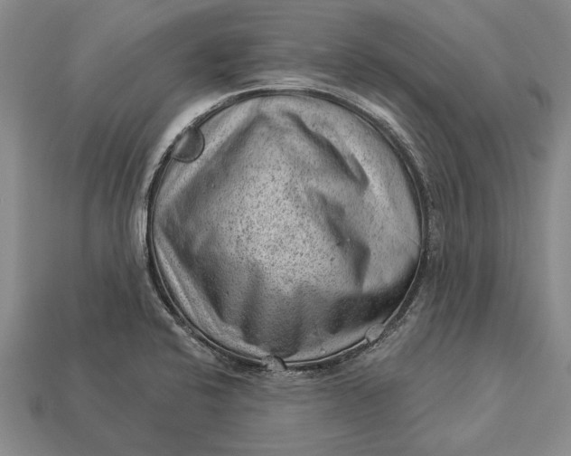 X0000112921424200909141303