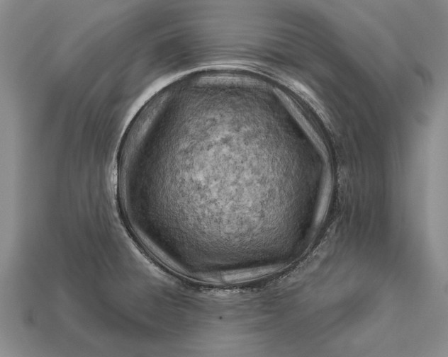 X0000112921428200909141303