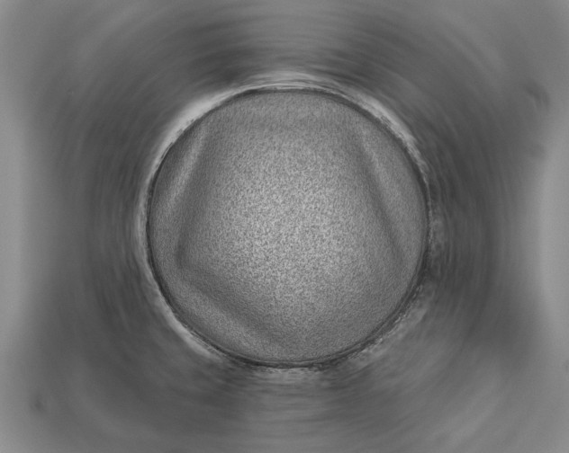 X0000112921429200909141303