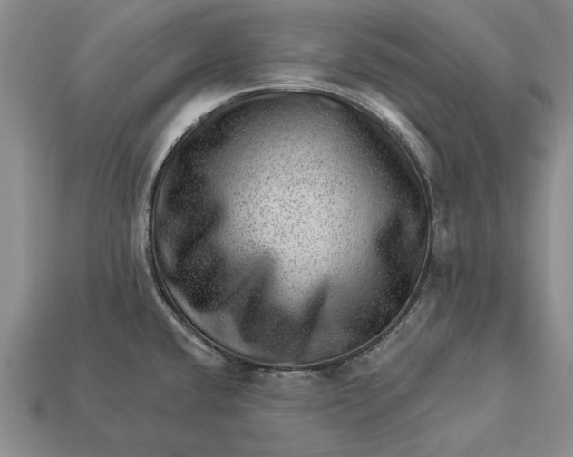 X0000112921432200909141303