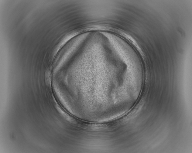X0000112921433200909141303