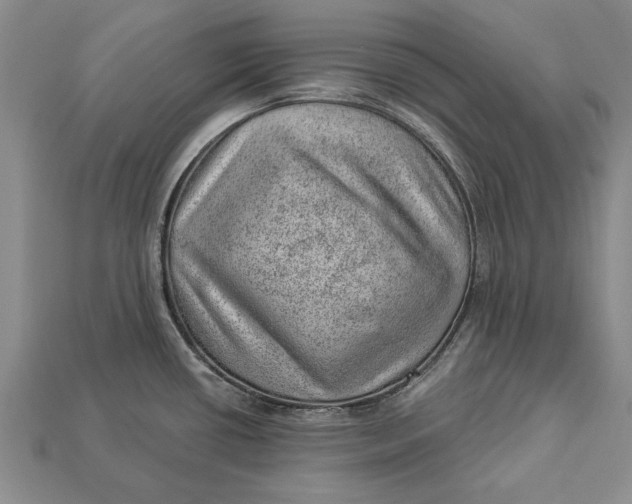 X0000112921434200909141303