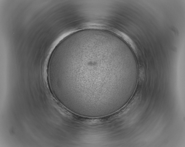 X0000112921435200909141303