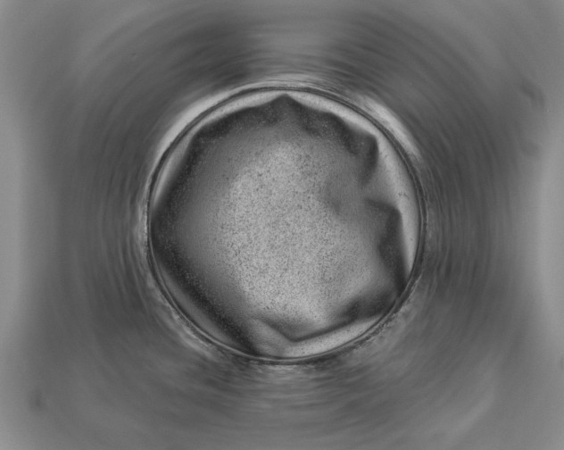 X0000112921436200909141303