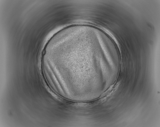 X0000112921437200909141303