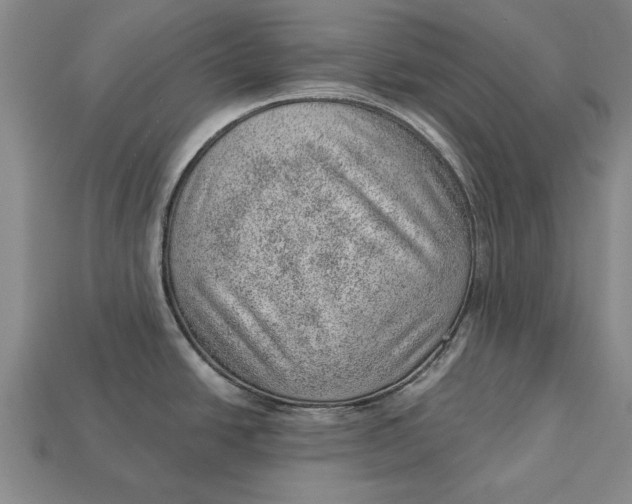 X0000112921438200909141303