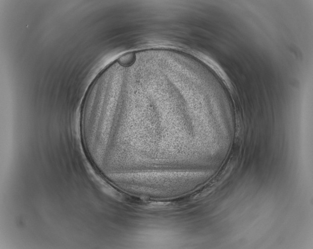 X0000112921439200909141303