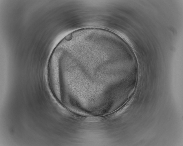 X0000112921440200909141303
