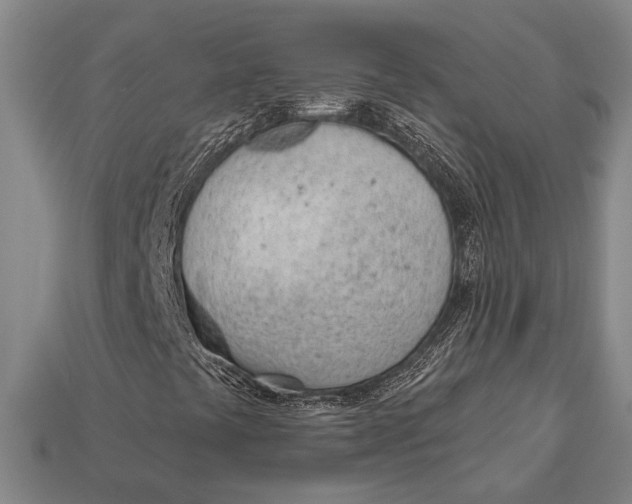 X0000112921441200909141303