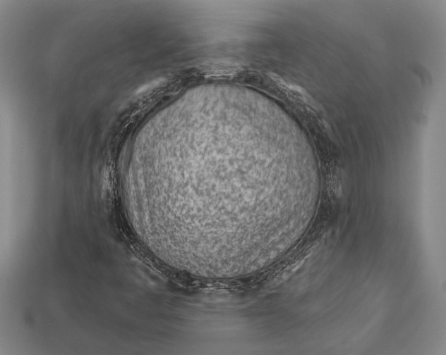 X0000112921445200909141303