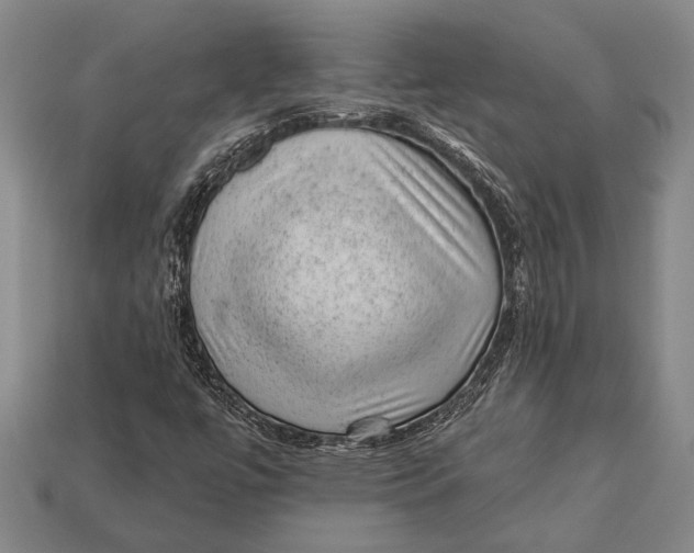 X0000112921447200909141303
