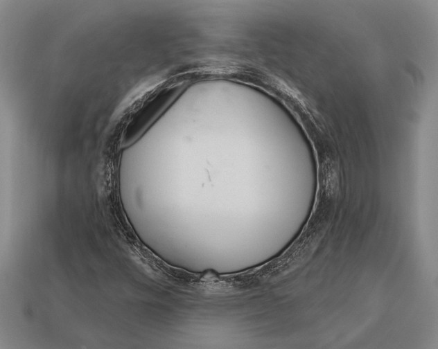 X0000112921448200909141303