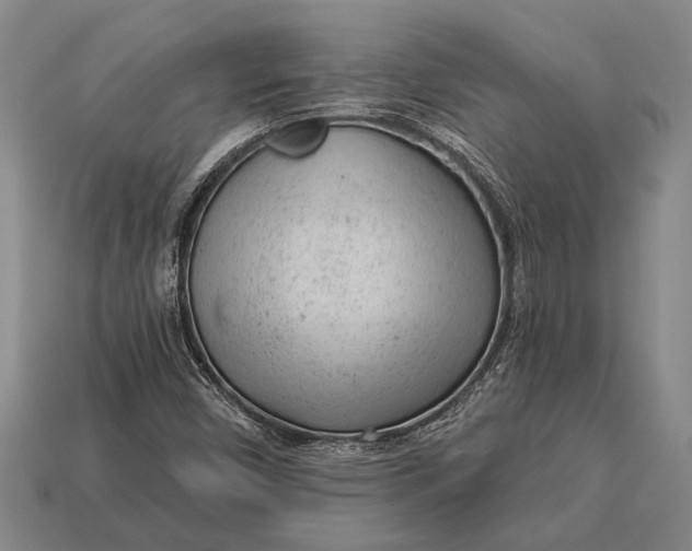 X0000112921450200909141303