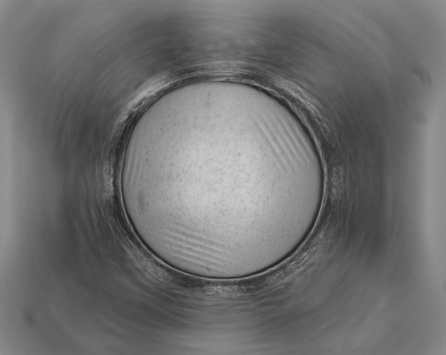X0000112921451200909141303
