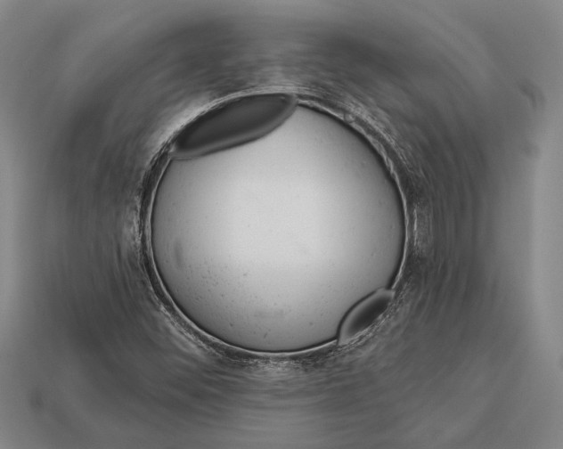 X0000112921452200909141303
