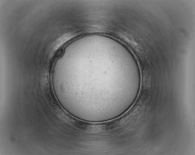 X0000112921453200909141303
