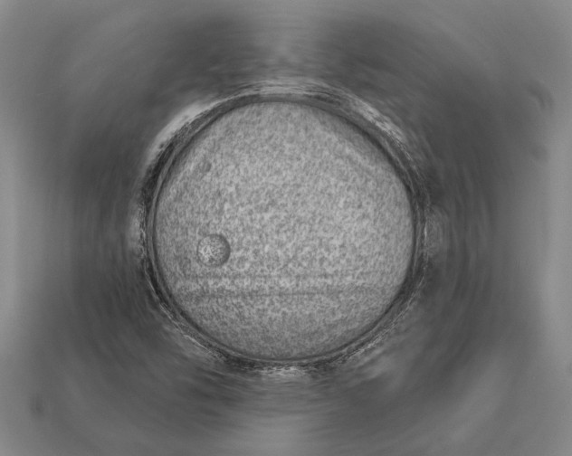 X0000112921454200909141303