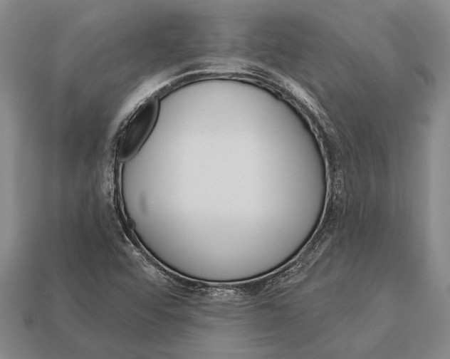 X0000112921456200909141303