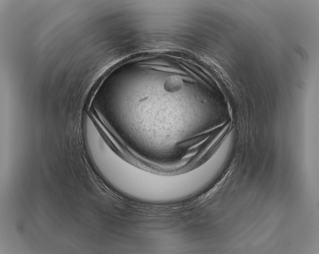 X0000112921457200909141303