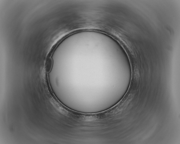 X0000112921460200909141303