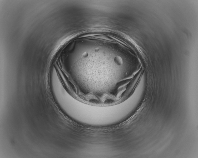 X0000112921461200909141303