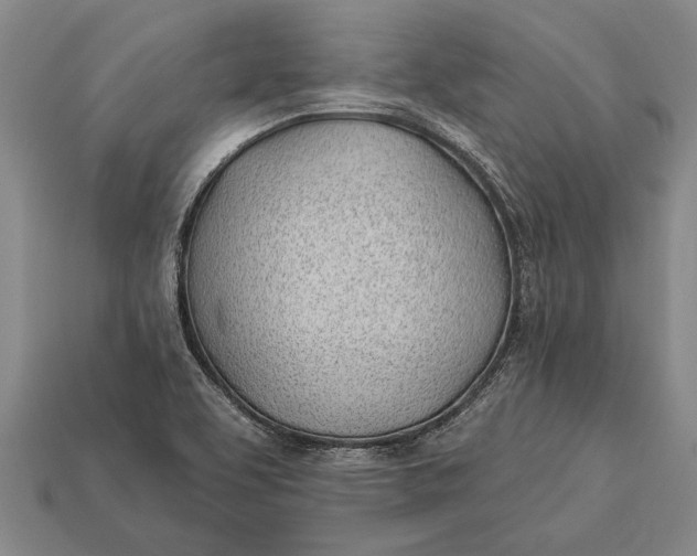 X0000112921463200909141303
