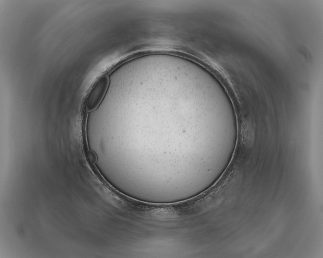 X0000112921464200909141303