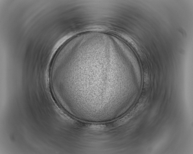 X0000112921466200909141303