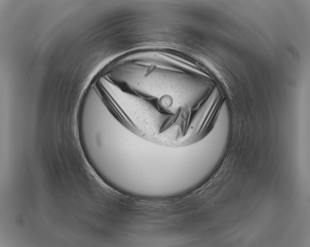 X0000112921468200909141302