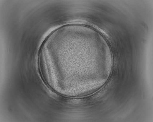 X0000112921470200909141302