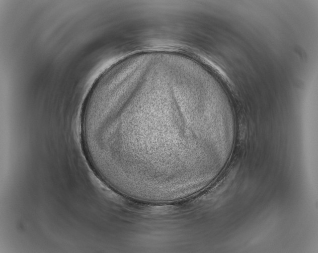 X0000112921471200909141302