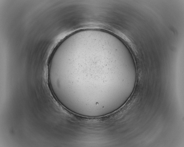 X0000112921472200909141302
