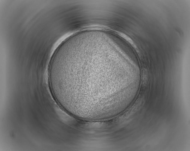 X0000112921474200909141302