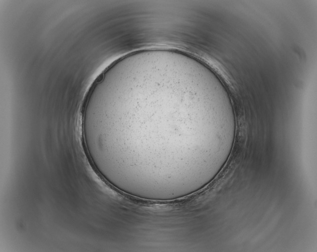 X0000112921476200909141302
