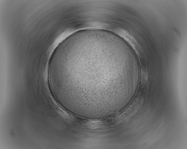 X0000112921477200909141302