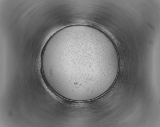 X0000112921479200909141302