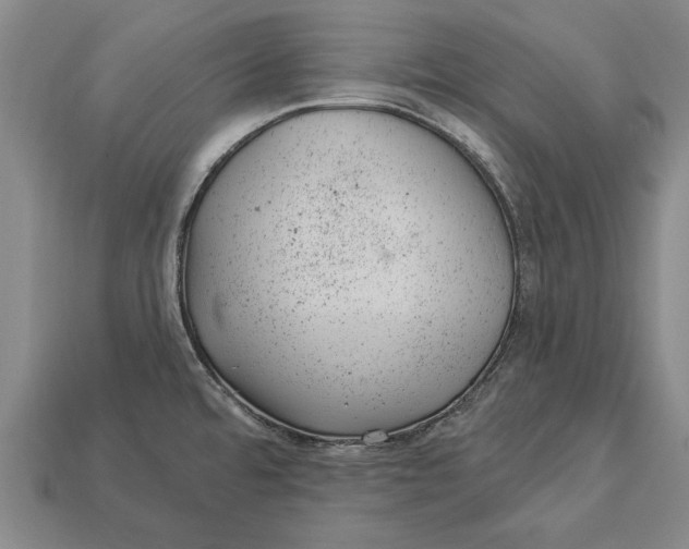 X0000112921480200909141302