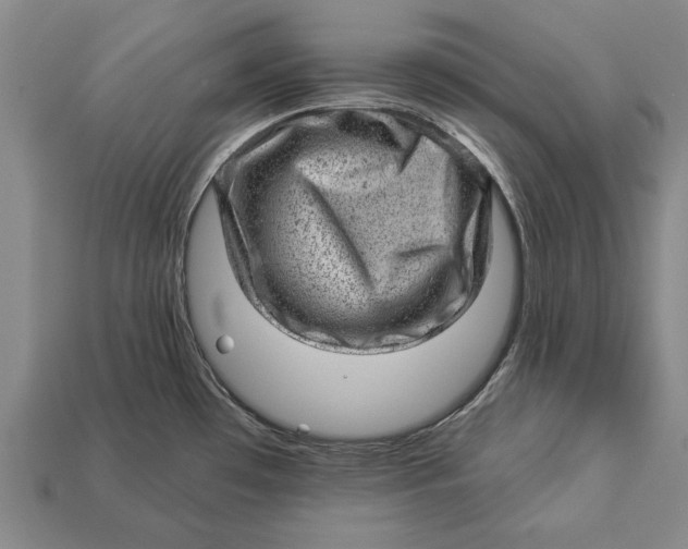 X0000112921481200909141302