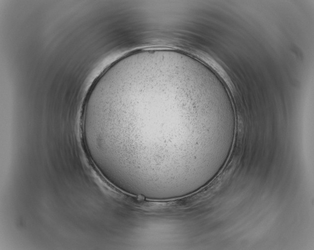 X0000112921485200909141302
