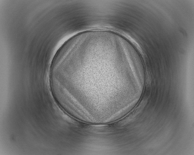 X0000112921486200909141302