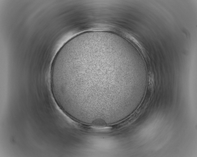X0000112921487200909141302